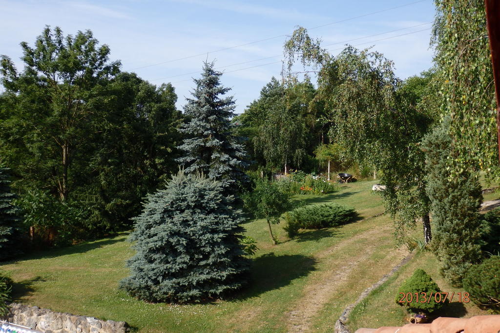 Villa Blanka Horní Podkozí Extérieur photo