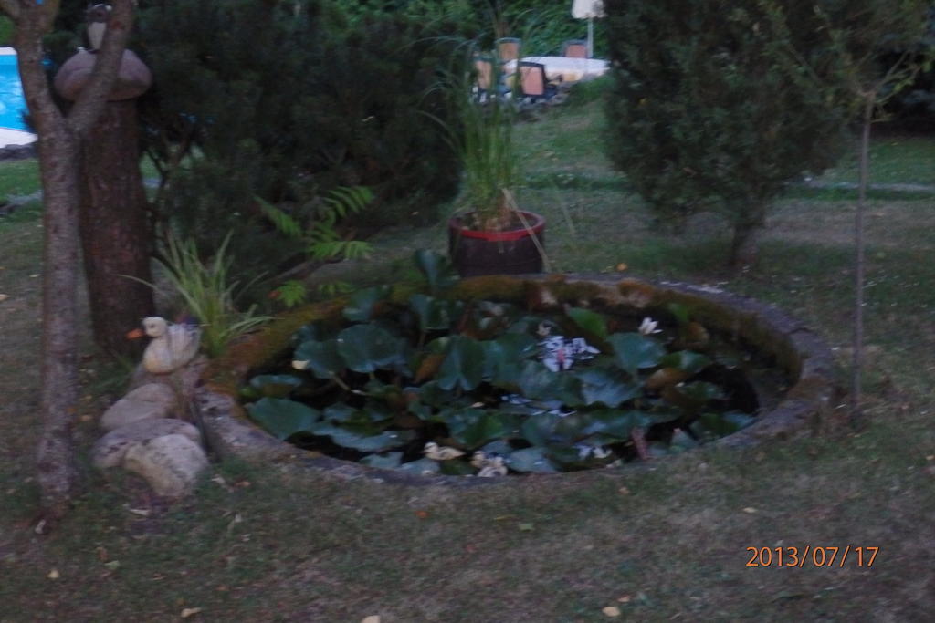 Villa Blanka Horní Podkozí Extérieur photo