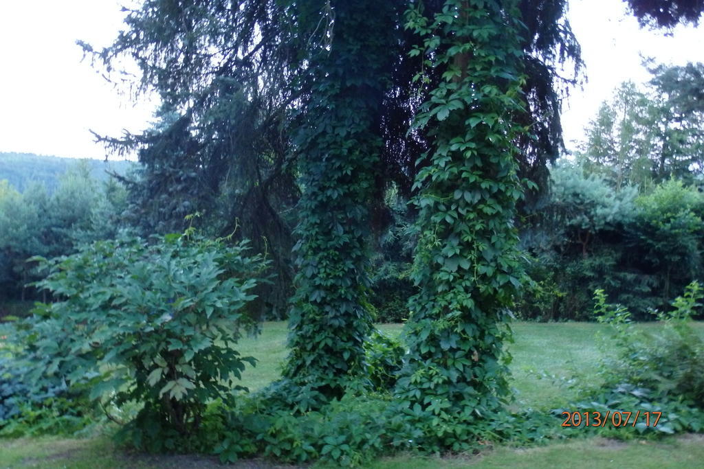 Villa Blanka Horní Podkozí Extérieur photo