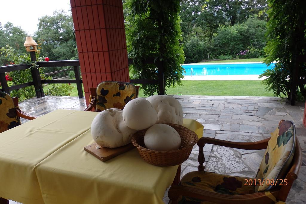 Villa Blanka Horní Podkozí Extérieur photo