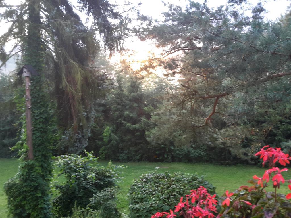 Villa Blanka Horní Podkozí Extérieur photo