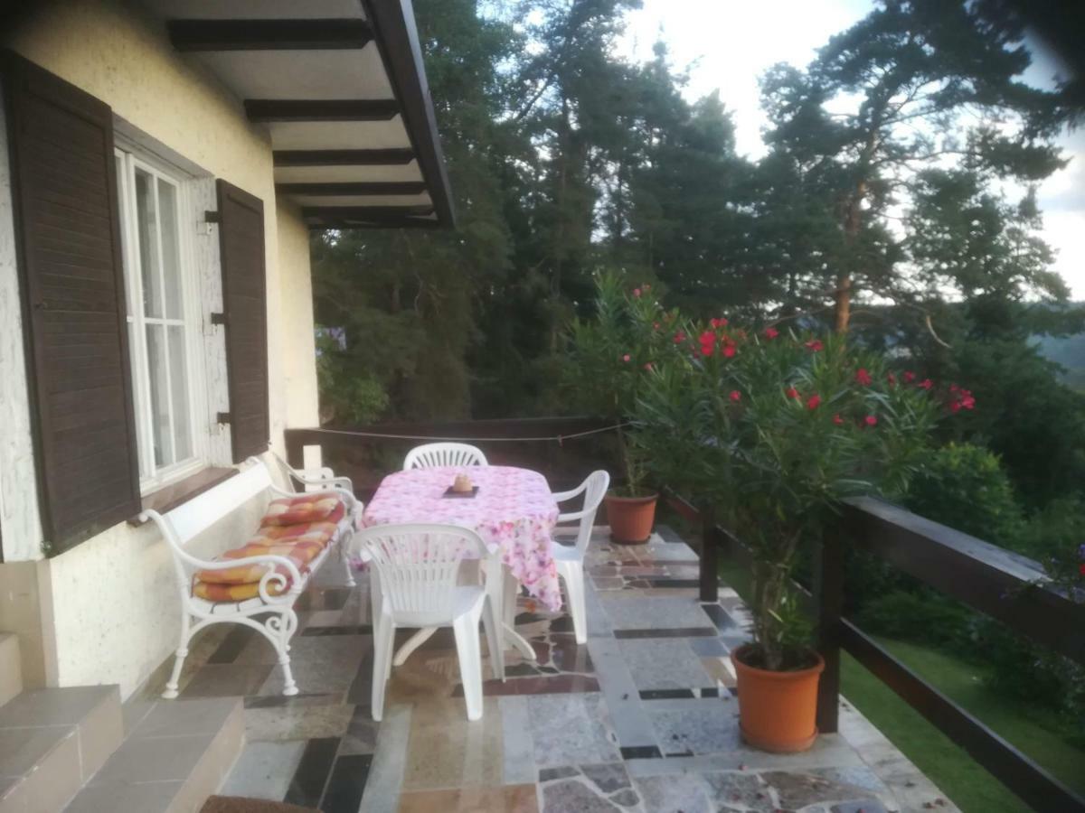 Villa Blanka Horní Podkozí Extérieur photo